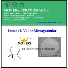 Instant L-Valine Microgranular/ Amino Acid DC Grade